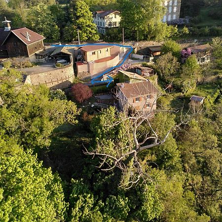 Le Chalet Du Parc Bed and Breakfast Annonay Buitenkant foto